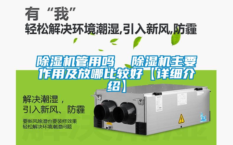 除濕機管用嗎 除濕機主要作用及放哪比較好【詳細介紹】