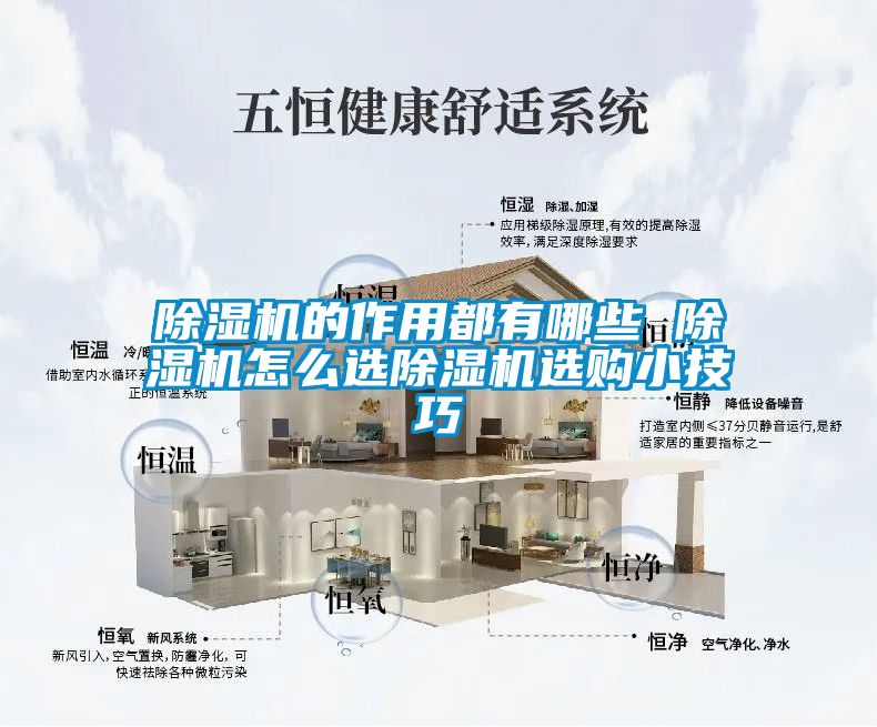 除濕機的作用都有哪些 除濕機怎么選除濕機選購小技巧