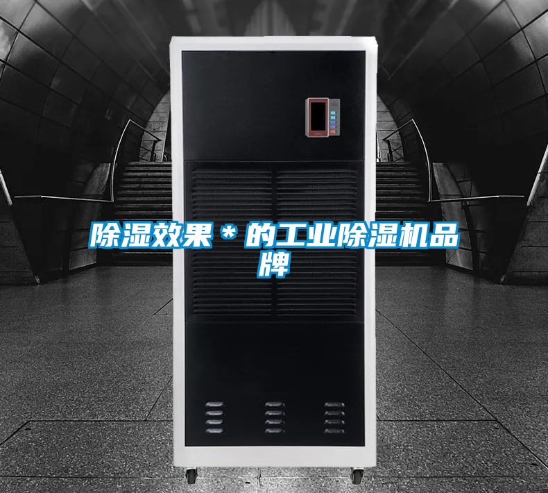 除濕效果＊的工業除濕機品牌