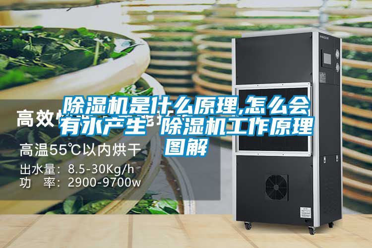 除濕機是什么原理,怎么會有水產生 除濕機工作原理圖解