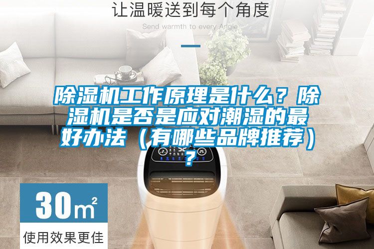 除濕機(jī)工作原理是什么？除濕機(jī)是否是應(yīng)對潮濕的最好辦法（有哪些品牌推薦）？