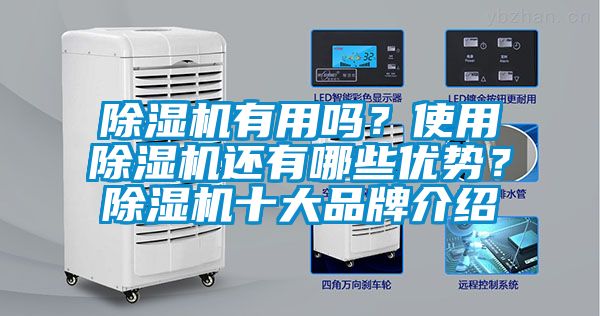 除濕機(jī)有用嗎?使用除濕機(jī)還有哪些優(yōu)勢?除濕機(jī)十大品牌介紹