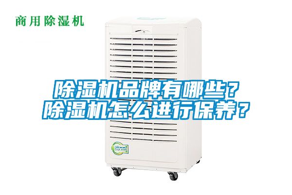 除濕機品牌有哪些？除濕機怎么進行保養？