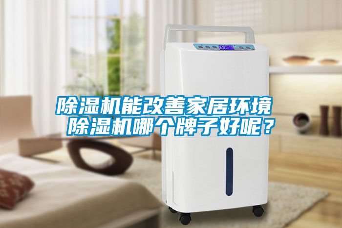 除濕機能改善家居環境 除濕機哪個牌子好呢？