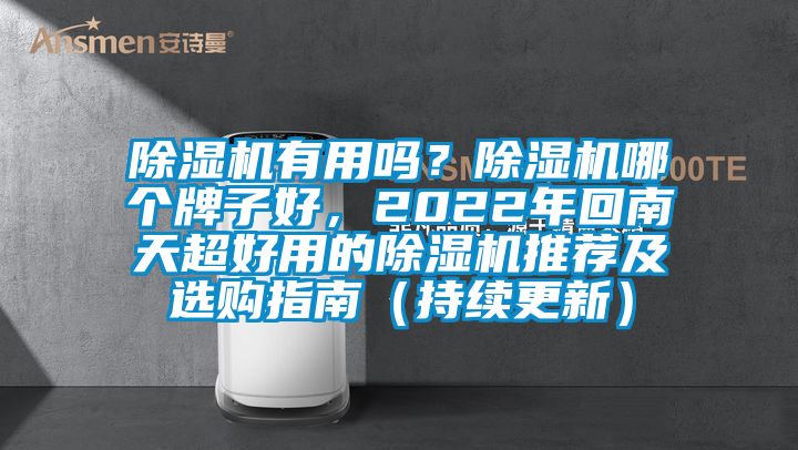 除濕機有用嗎？除濕機哪個牌子好，2022年回南天超好用的除濕機推薦及選購指南（持續更新）