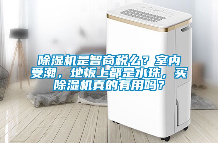 除濕機是智商稅么？室內(nèi)受潮，地板上都是水珠，買除濕機真的有用嗎？