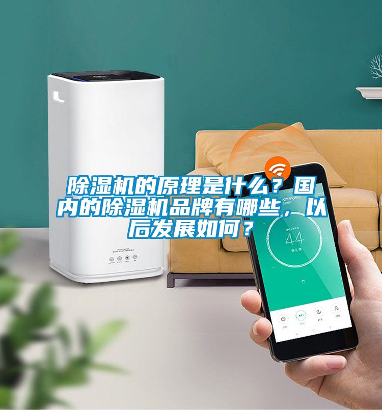 除濕機的原理是什么？國內的除濕機品牌有哪些，以后發展如何？
