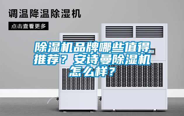 除濕機品牌哪些值得推薦？安詩曼除濕機怎么樣？