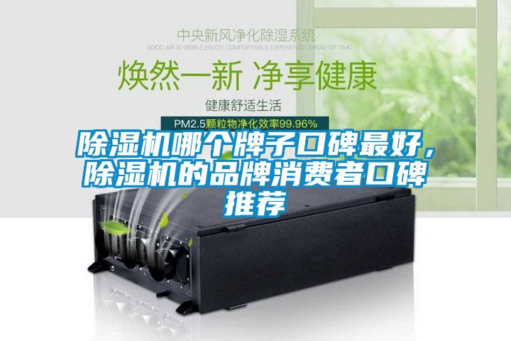 除濕機哪個牌子口碑最好,除濕機的品牌消費者口碑推薦