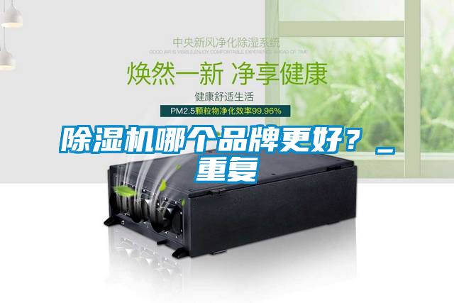 除濕機哪個品牌更好？_重復