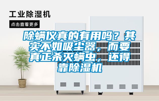 除螨儀真的有用嗎?其實(shí)不如吸塵器,而要真正殺滅螨蟲,還得靠除濕機(jī)