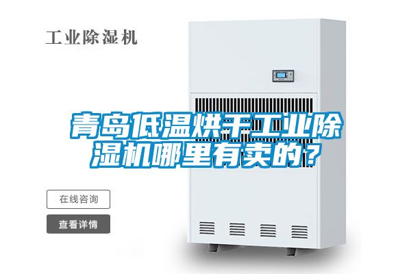 青島低溫烘干工業(yè)除濕機(jī)哪里有賣的？