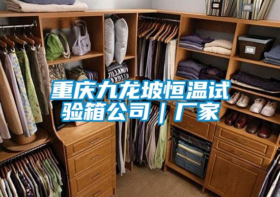 重慶九龍坡恒溫試驗箱公司|廠家