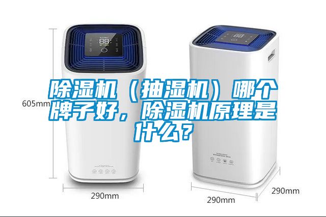 除濕機（抽濕機）哪個牌子好，除濕機原理是什么？