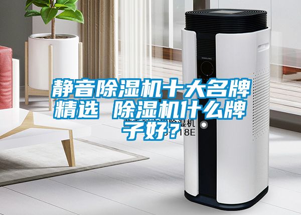 靜音除濕機十大名牌精選 除濕機什么牌子好?