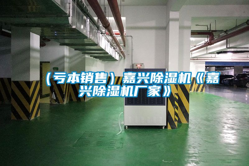 (虧本銷售)嘉興除濕機(jī)《嘉興除濕機(jī)廠家》