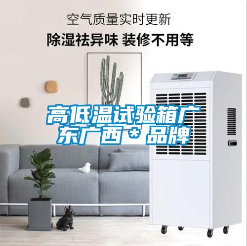 高低溫試驗箱廣東廣西*品牌