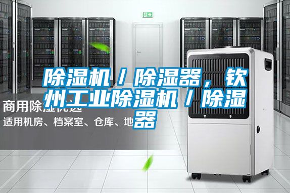 除濕機/除濕器,欽州工業除濕機/除濕器