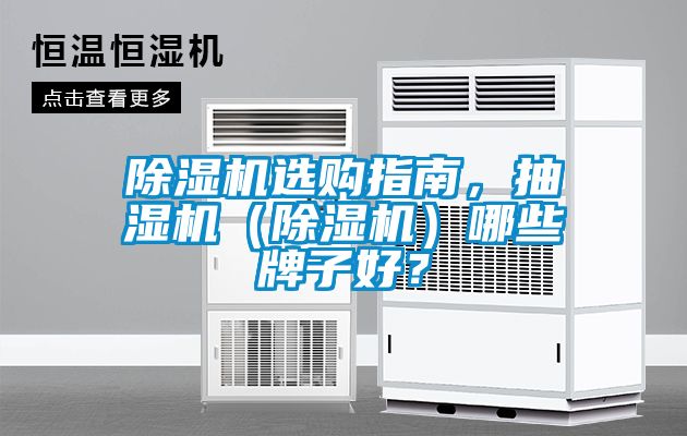 除濕機選購指南，抽濕機（除濕機）哪些牌子好？