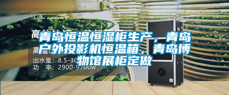 青島恒溫恒濕柜生產(chǎn),青島戶外投影機(jī)恒溫箱,青島博物館展柜定做