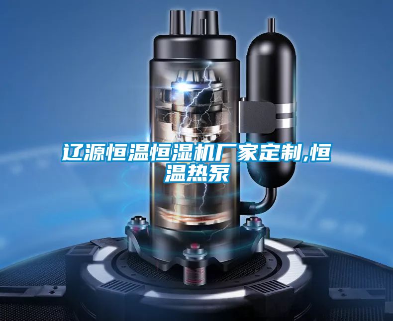 遼源恒溫恒濕機(jī)廠家定制,恒溫?zé)岜?></div>
								<div   id=