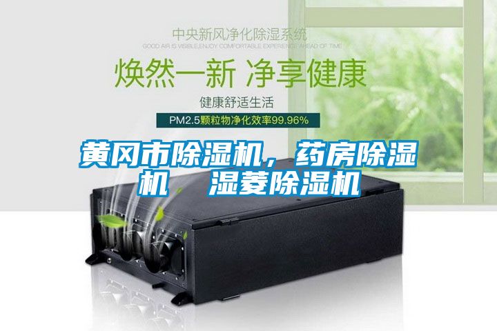 黃岡市除濕機(jī),藥房除濕機(jī) 濕菱除濕機(jī)