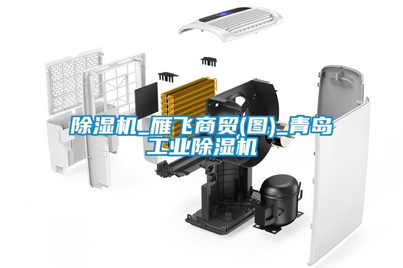 除濕機_雁飛商貿(圖)_青島工業除濕機