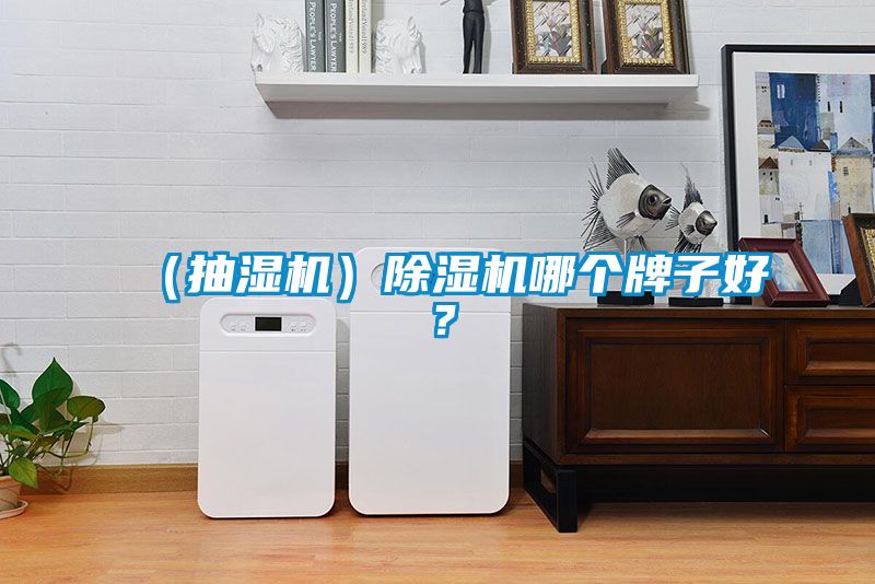 (抽濕機(jī))除濕機(jī)哪個(gè)牌子好?