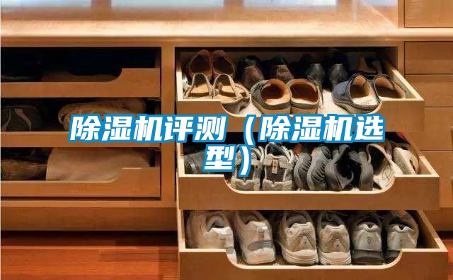 除濕機評測(除濕機選型)