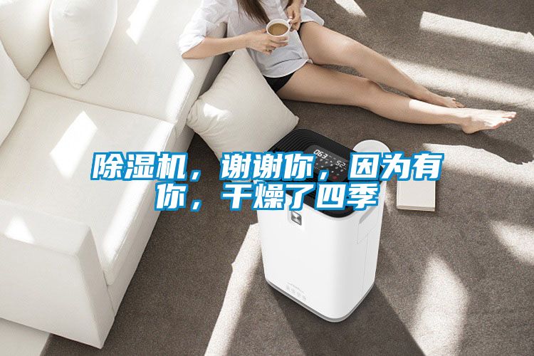 除濕機,謝謝你,因為有你,干燥了四季