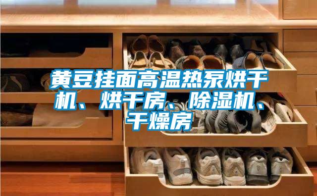 黃豆掛面高溫?zé)岜煤娓蓹C(jī)、烘干房、除濕機(jī)、干燥房